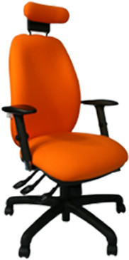 Ergochair Adapt 200 #1